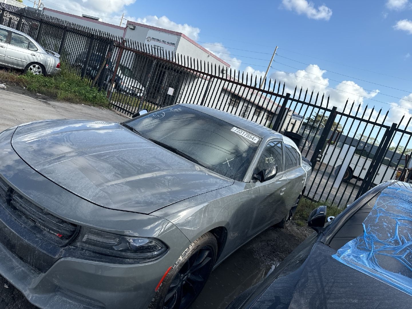 72317854