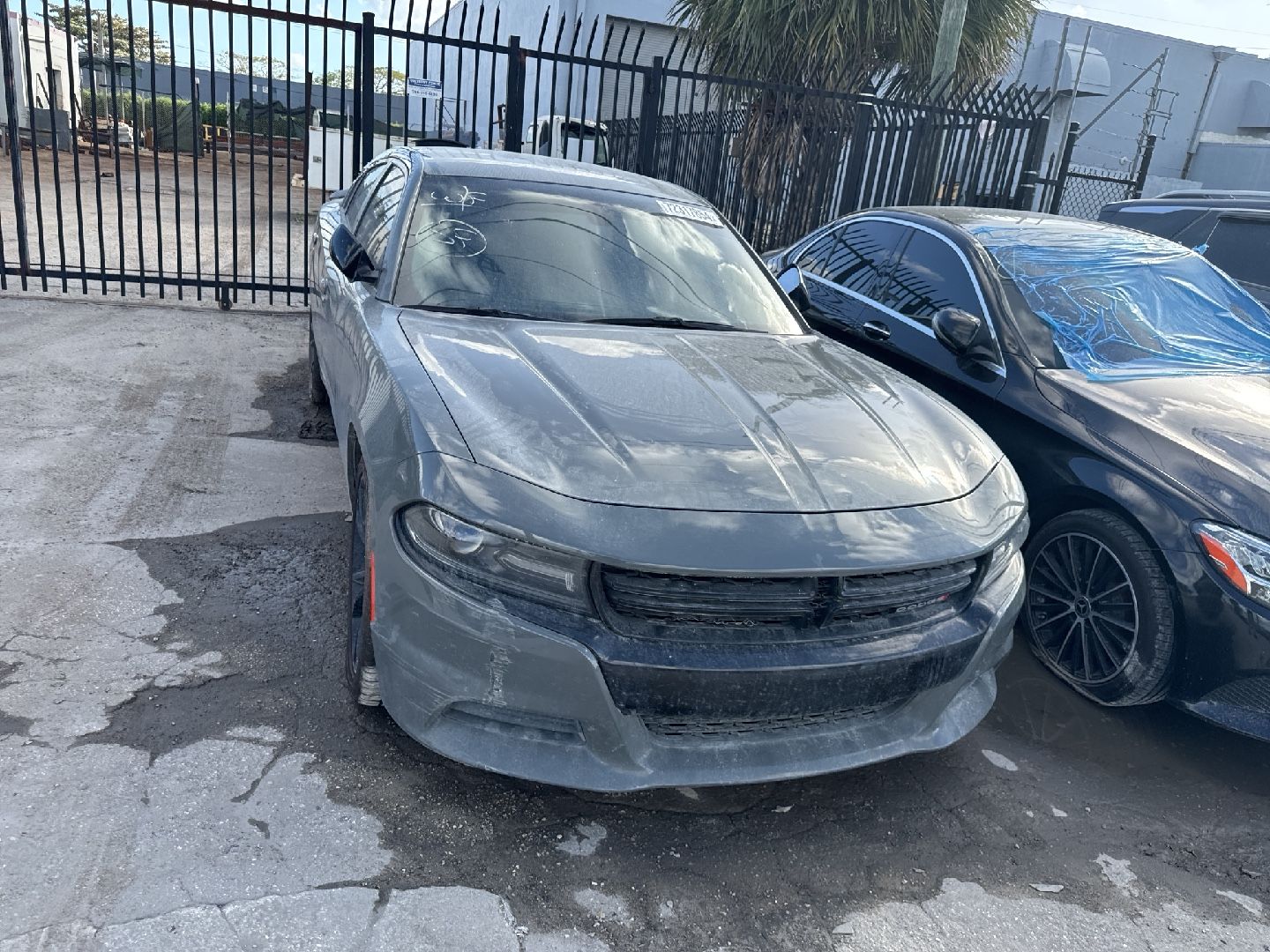 72317854