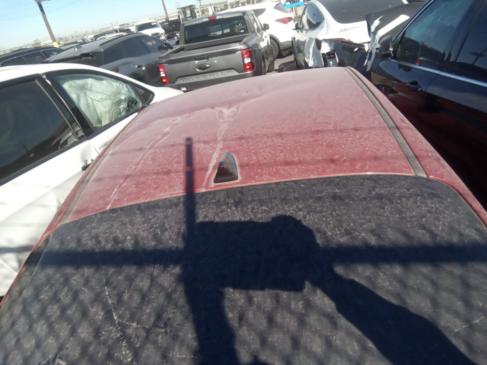 57293454