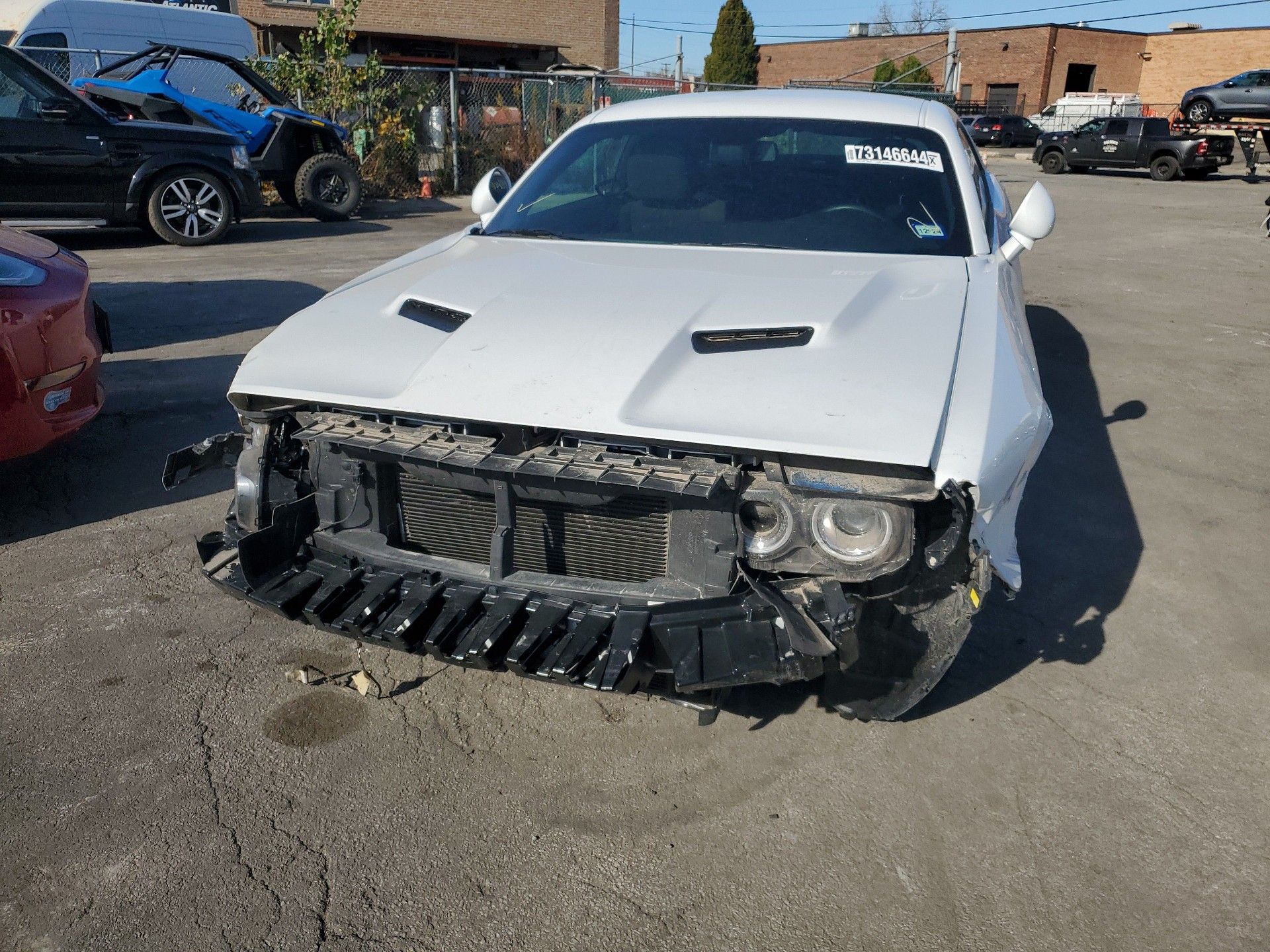 73146644
