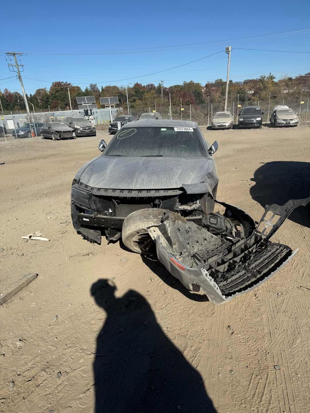 74373864