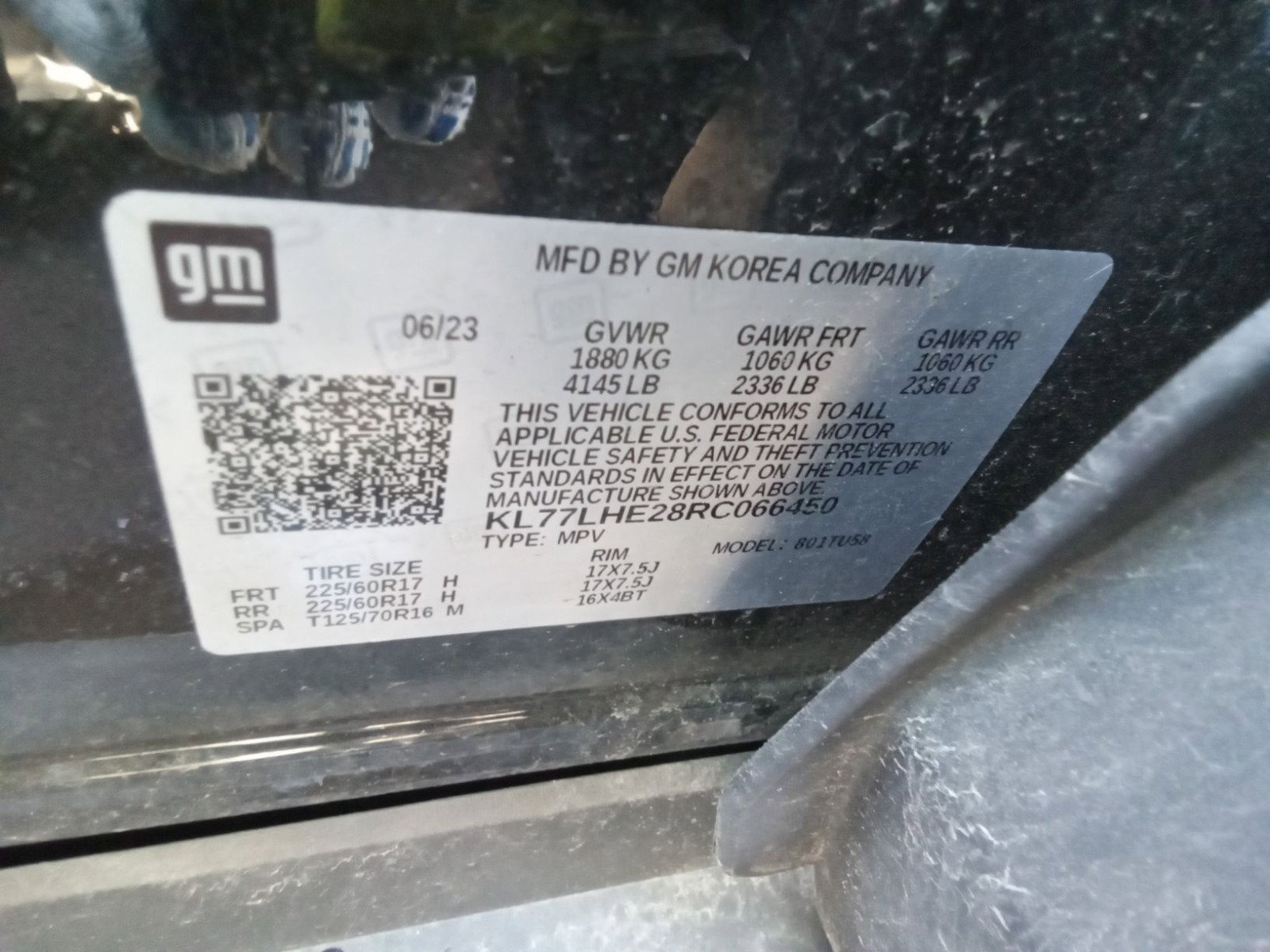 55449624