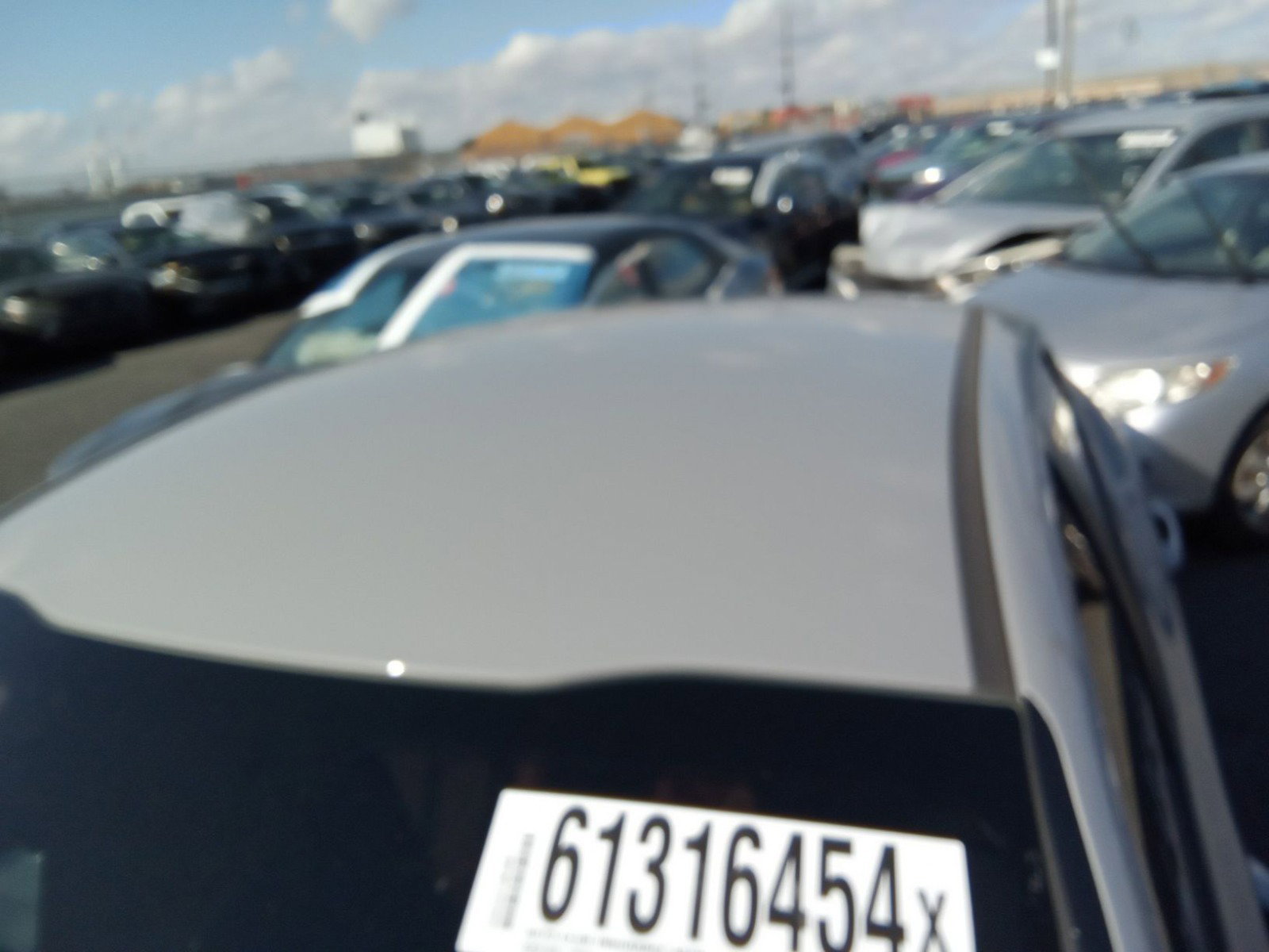 61316454