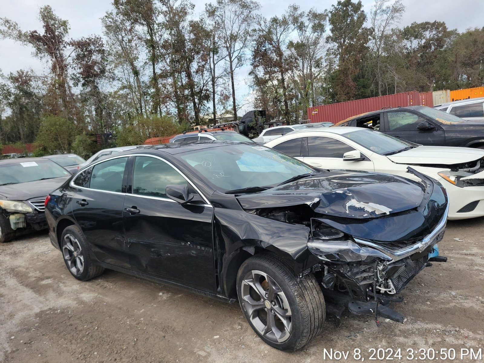 66304774