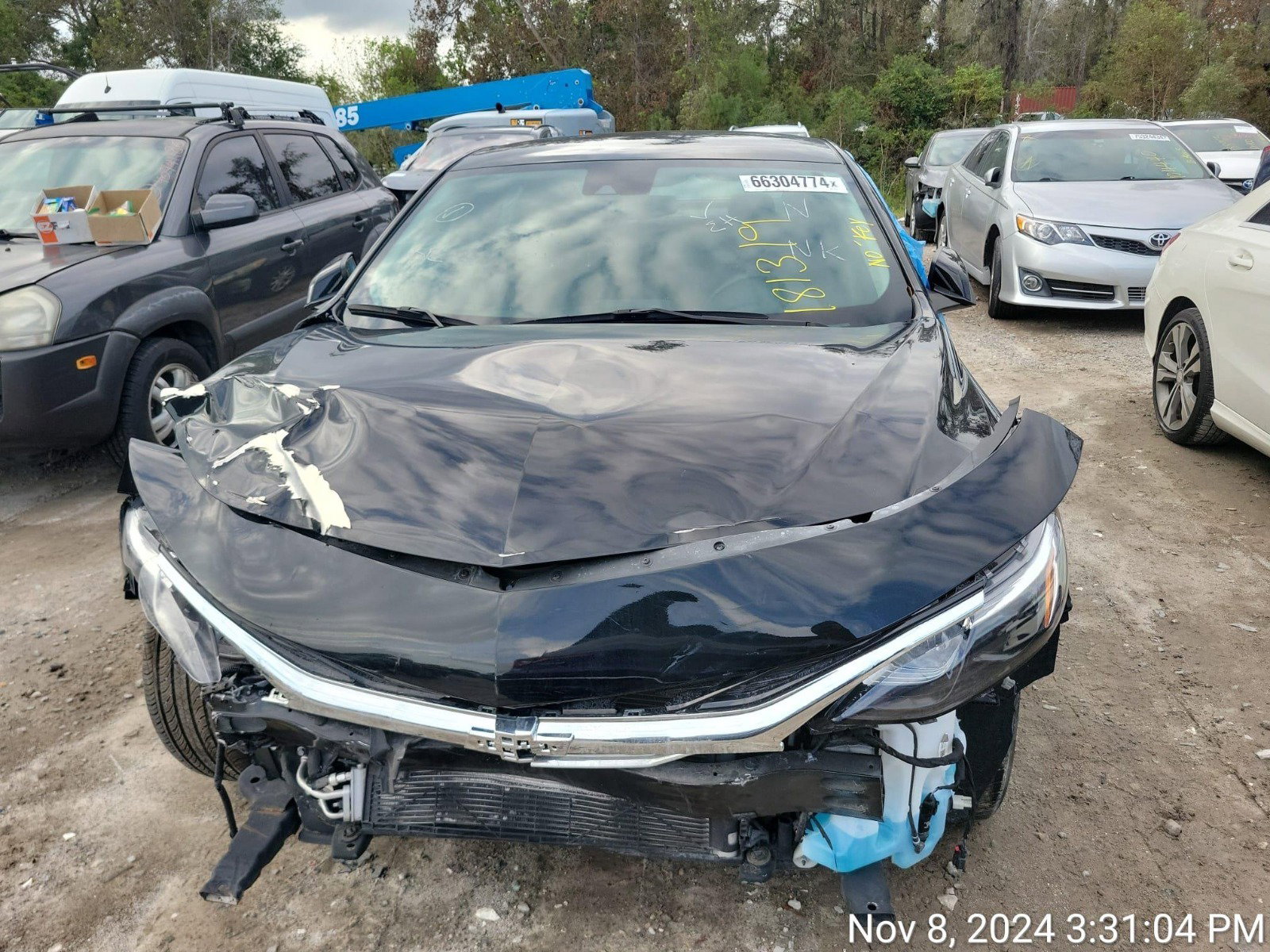 66304774