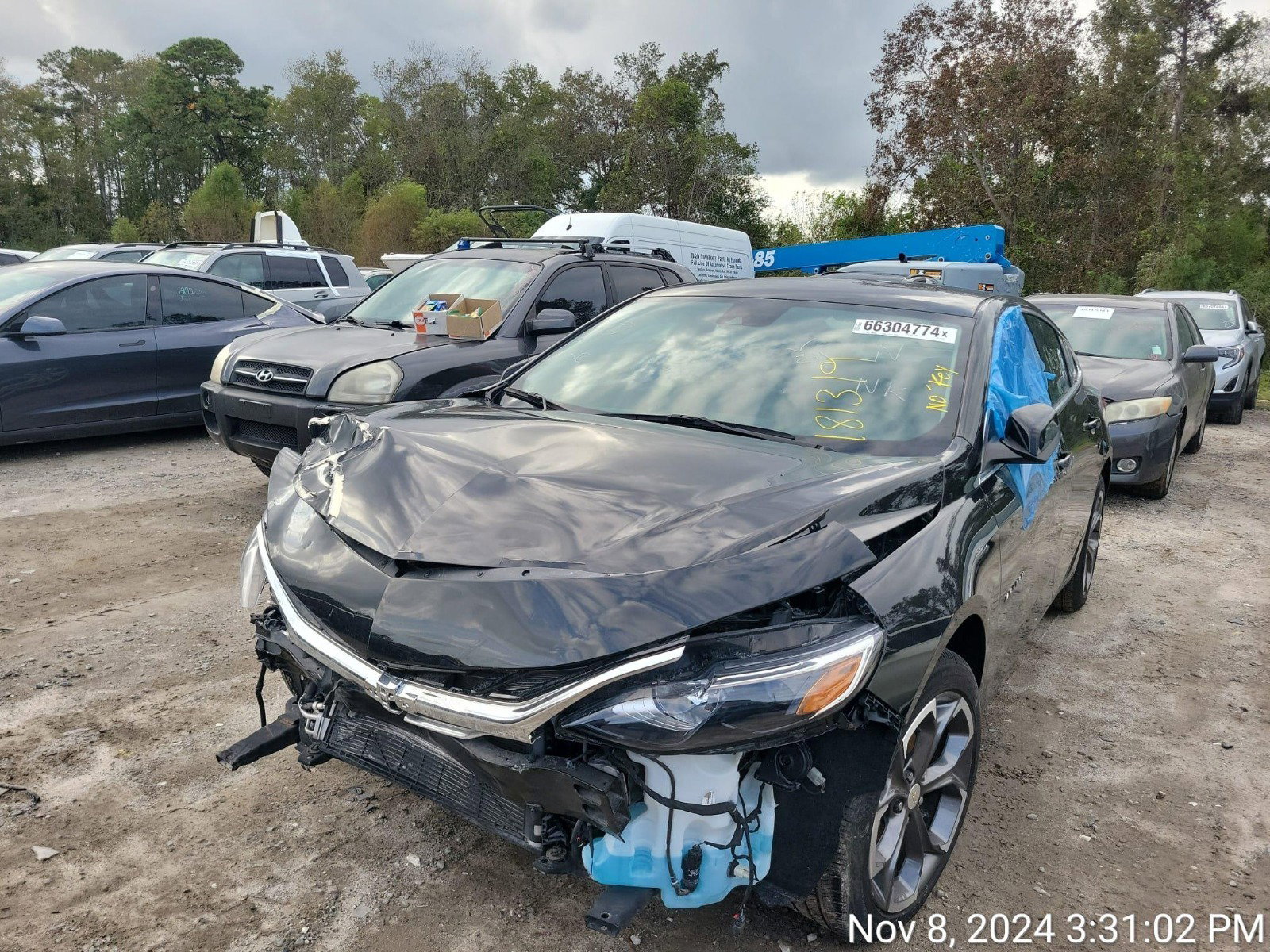 66304774