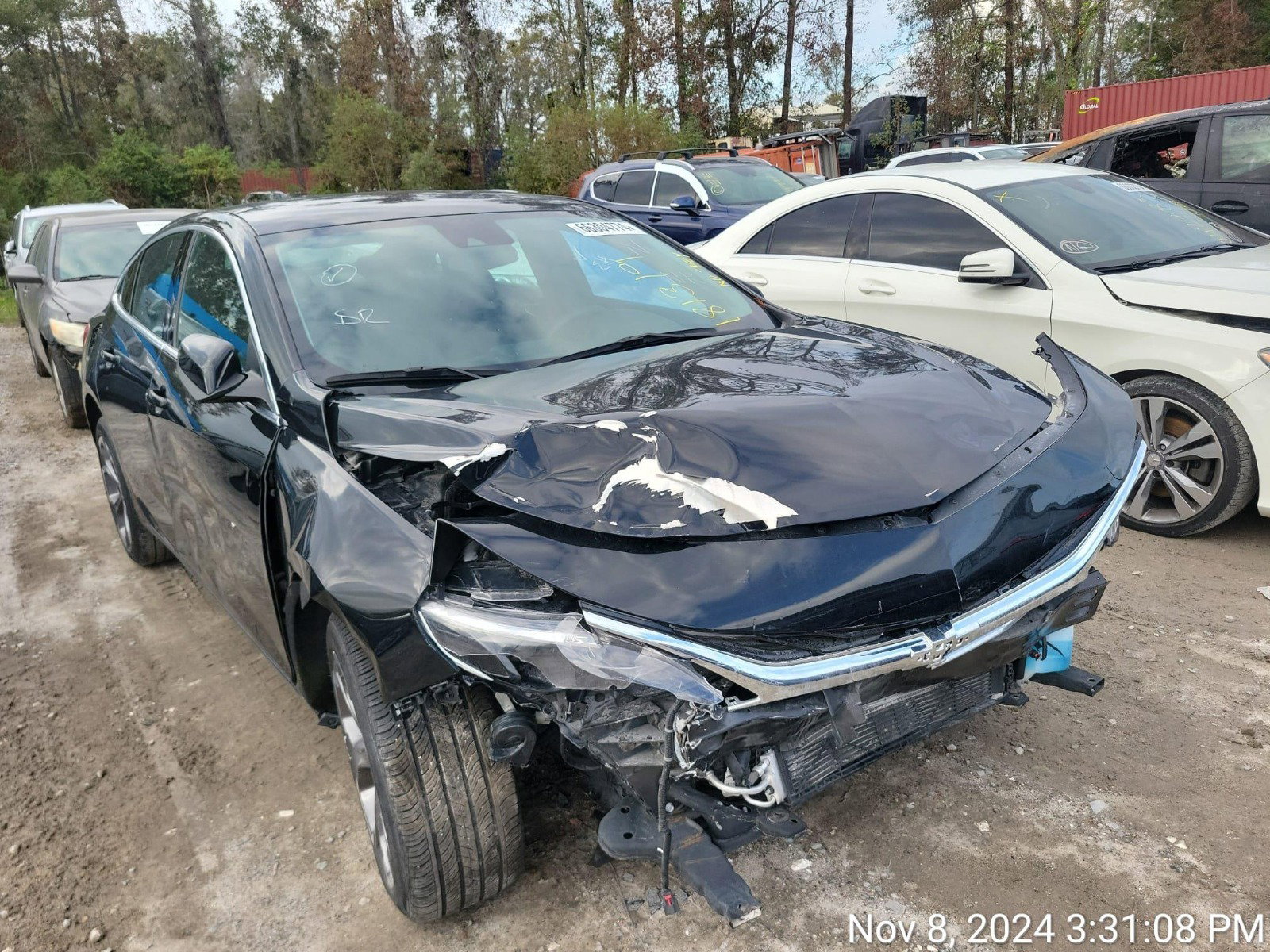 66304774