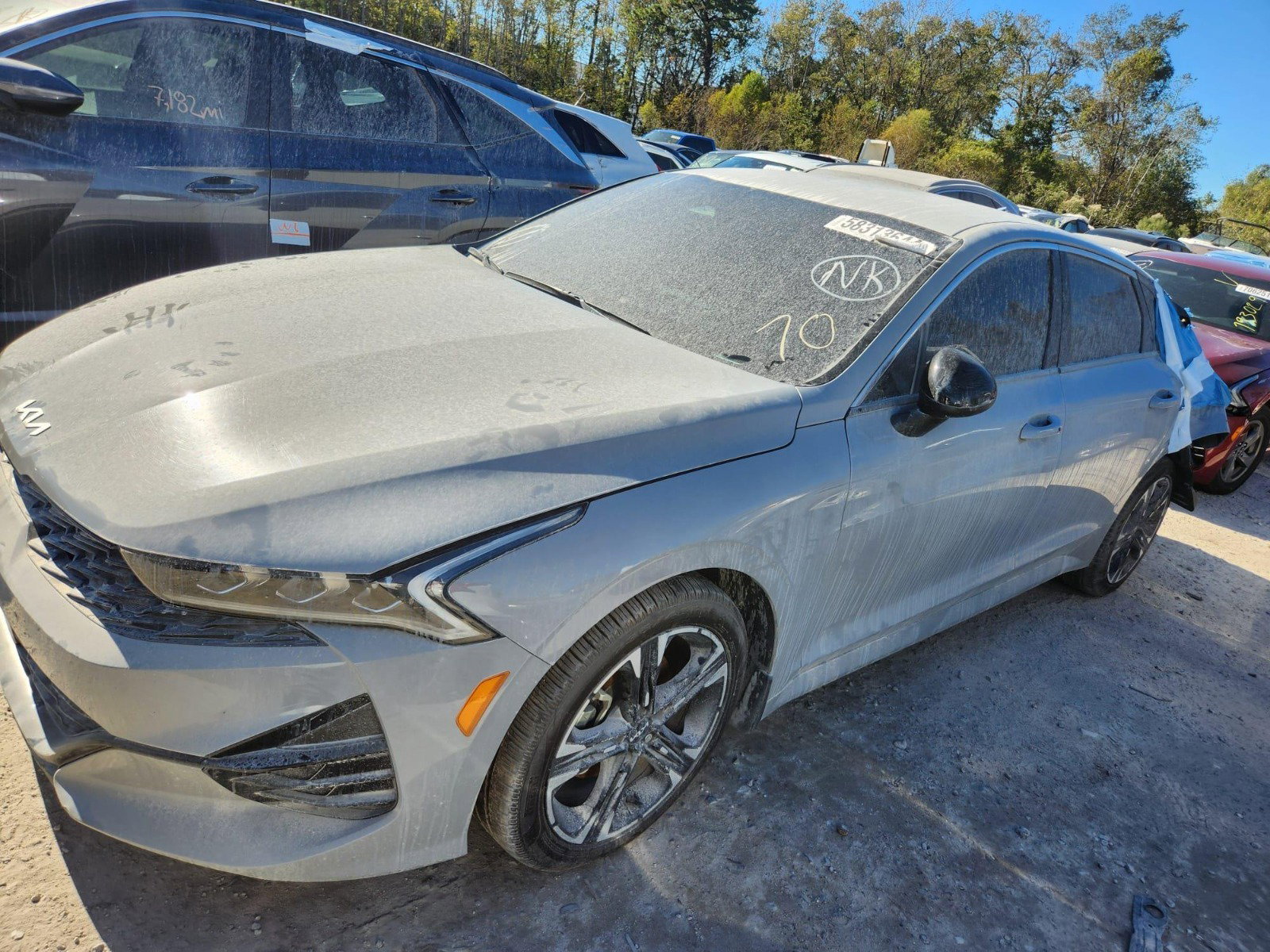 58313644