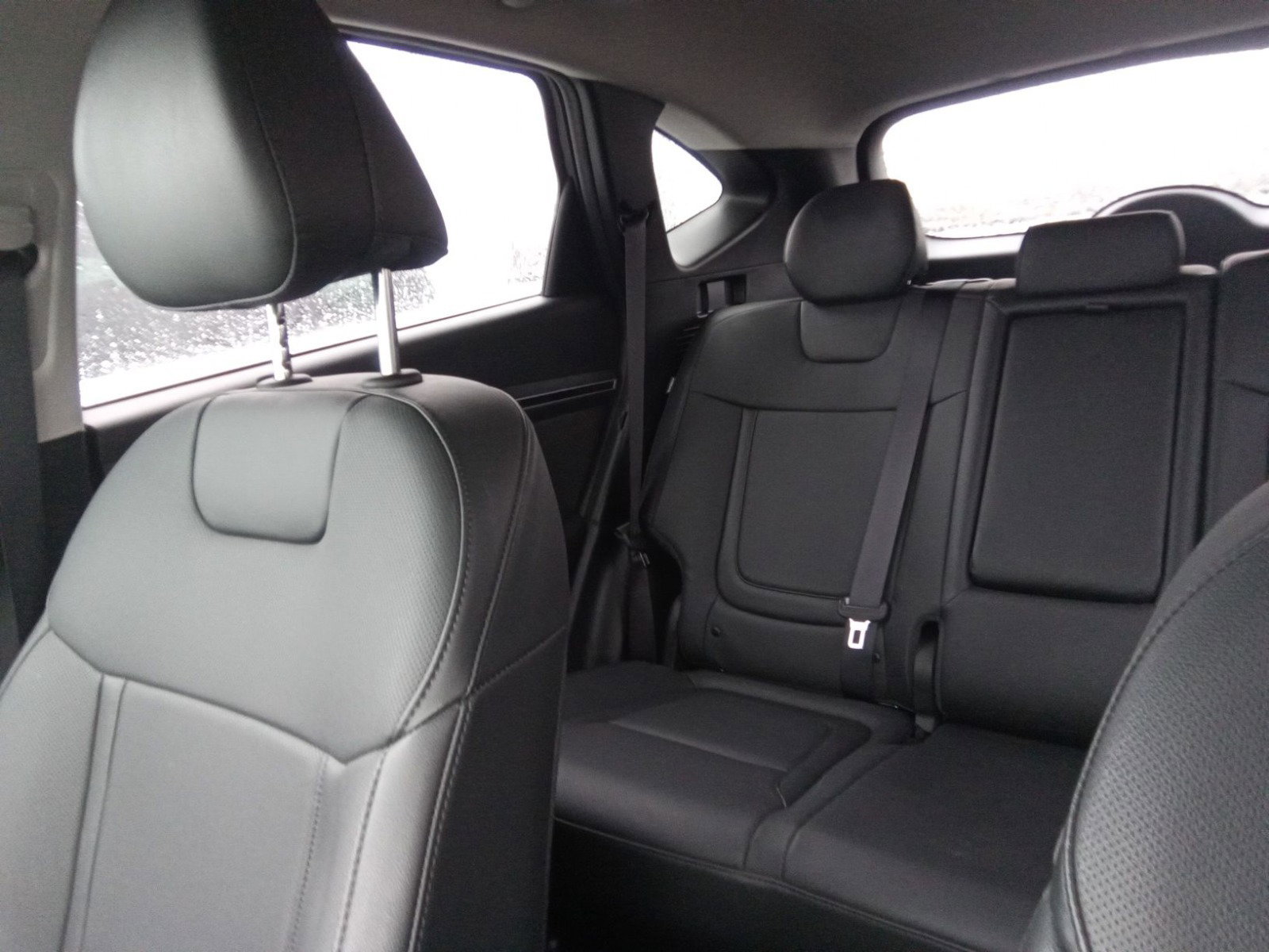 74690194