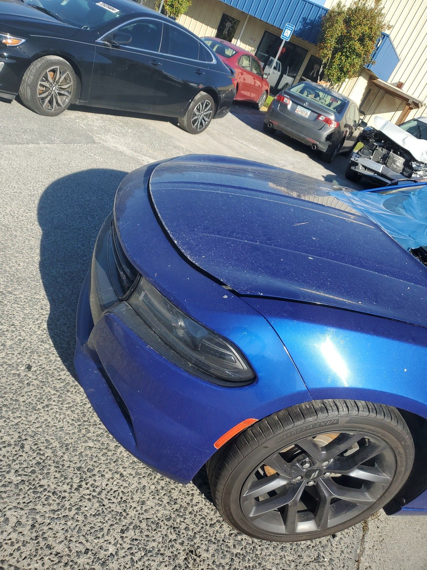 74995644