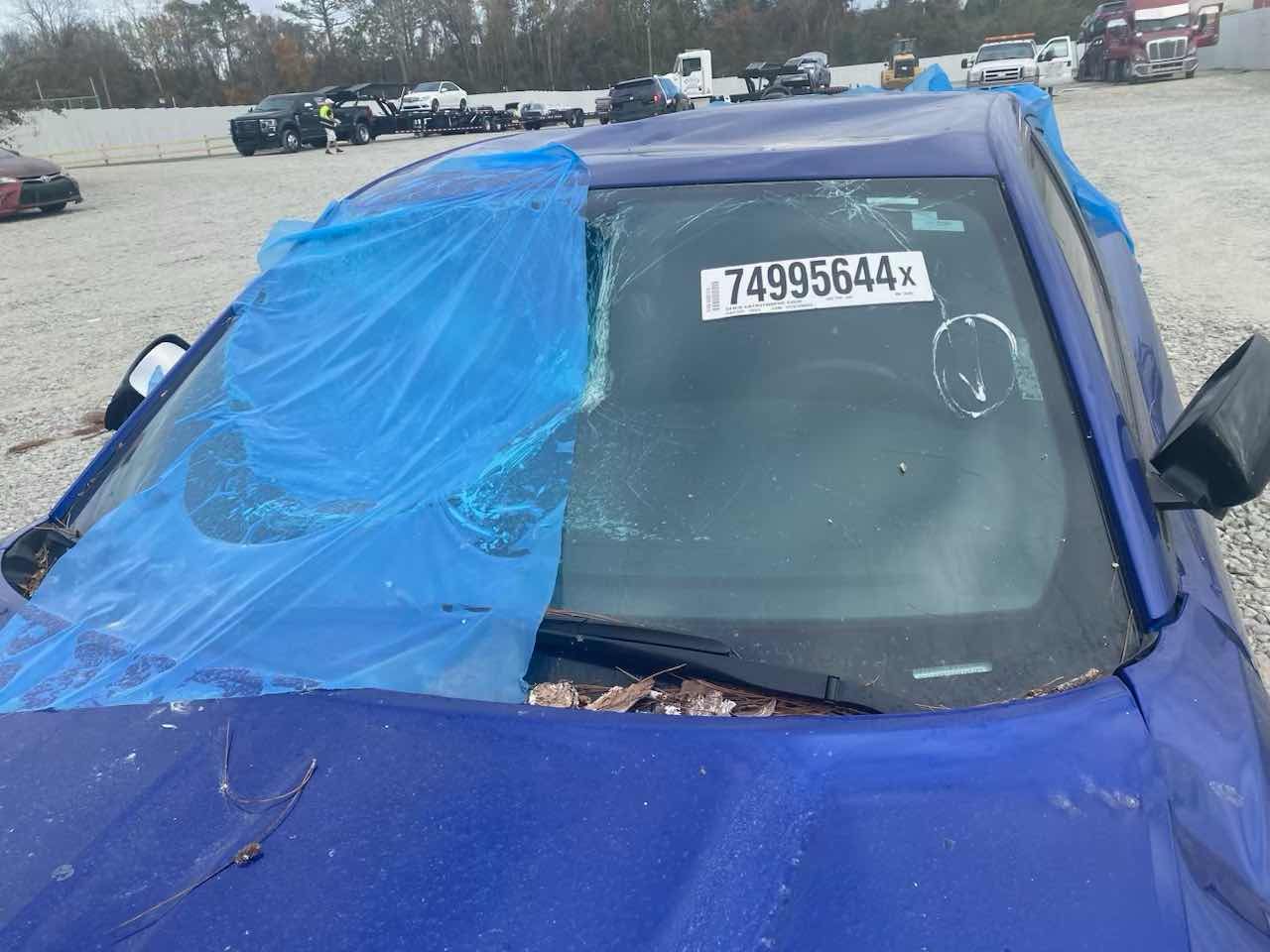 74995644