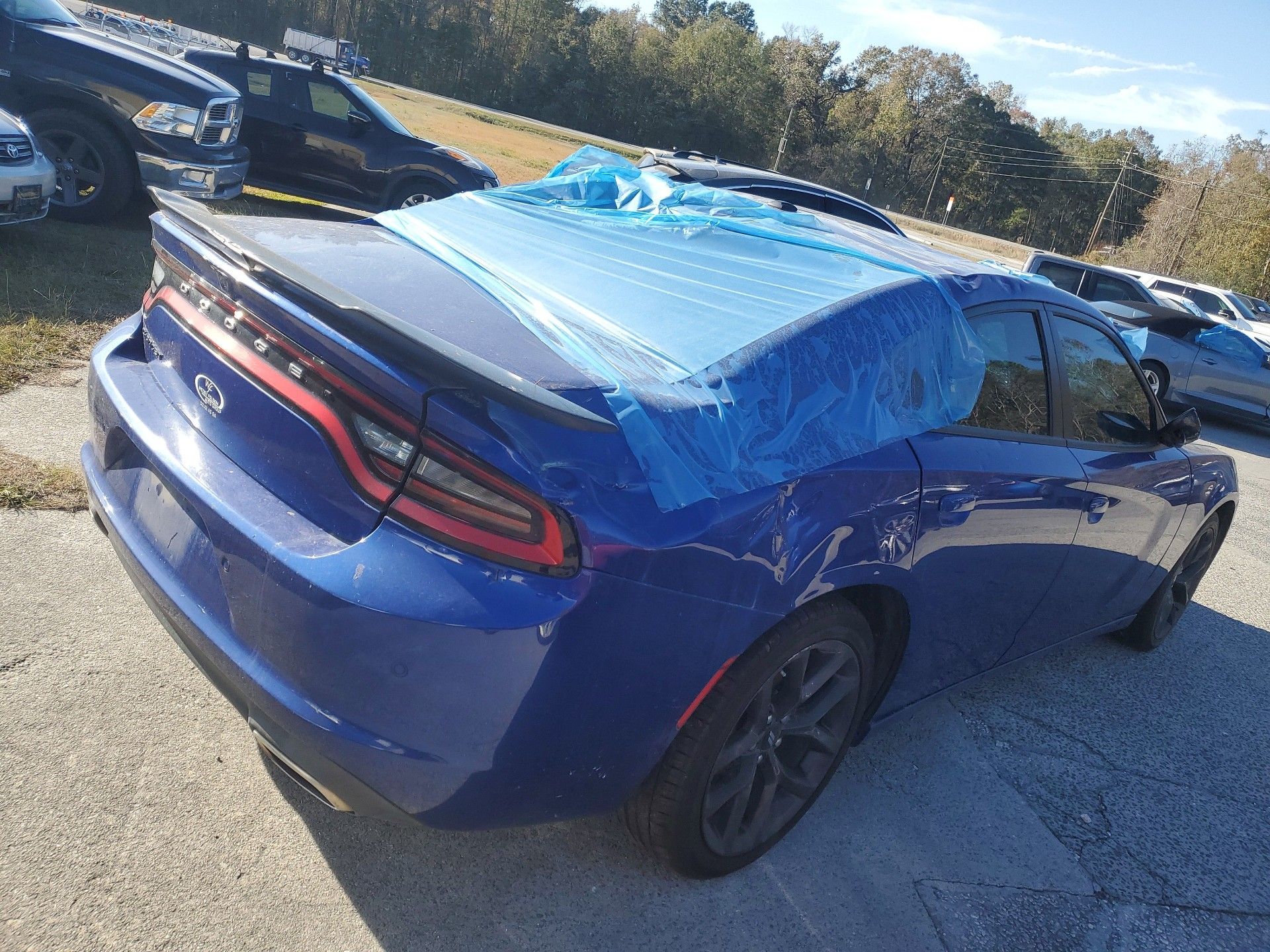 74995644