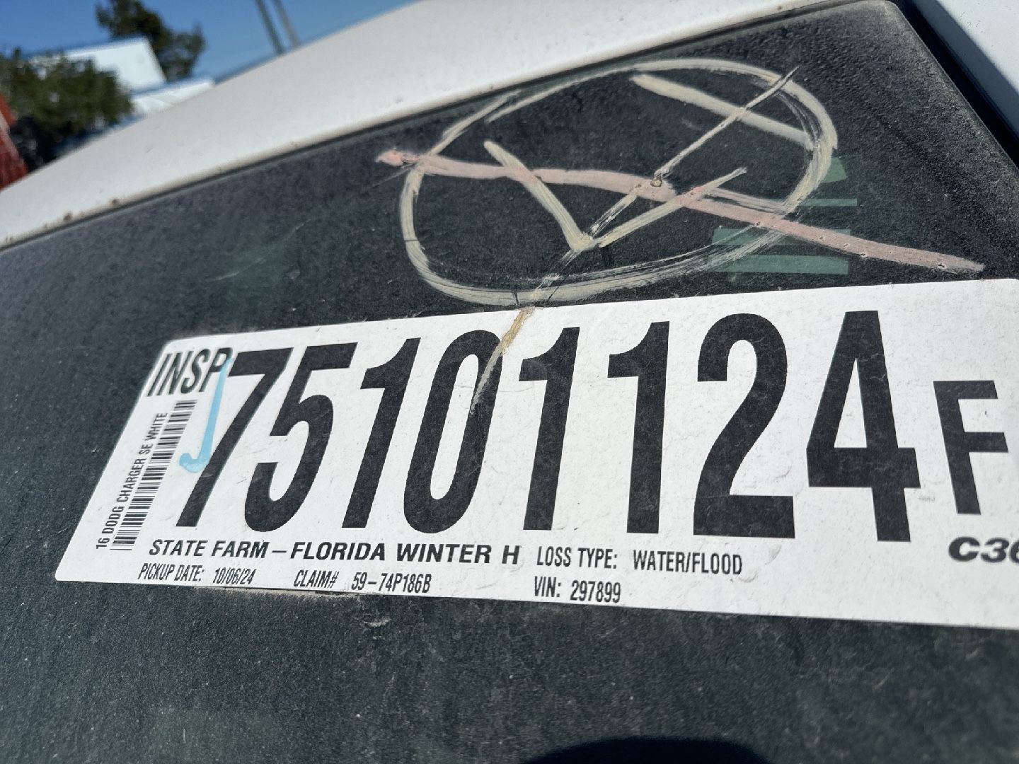 75101124