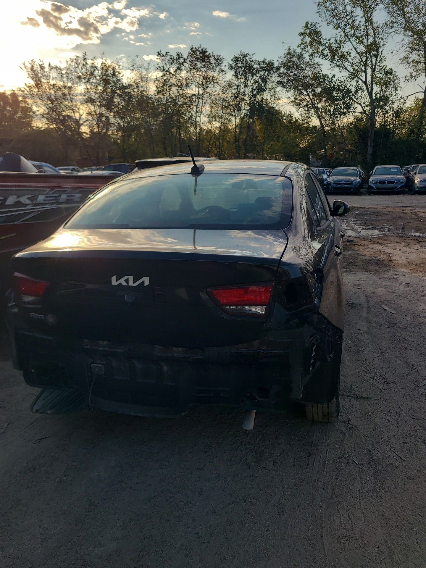 40316499