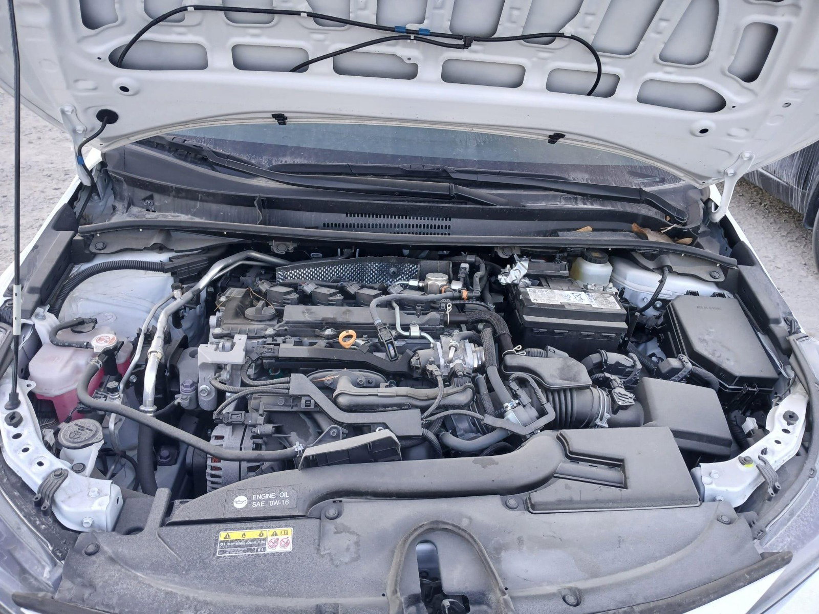 73951464