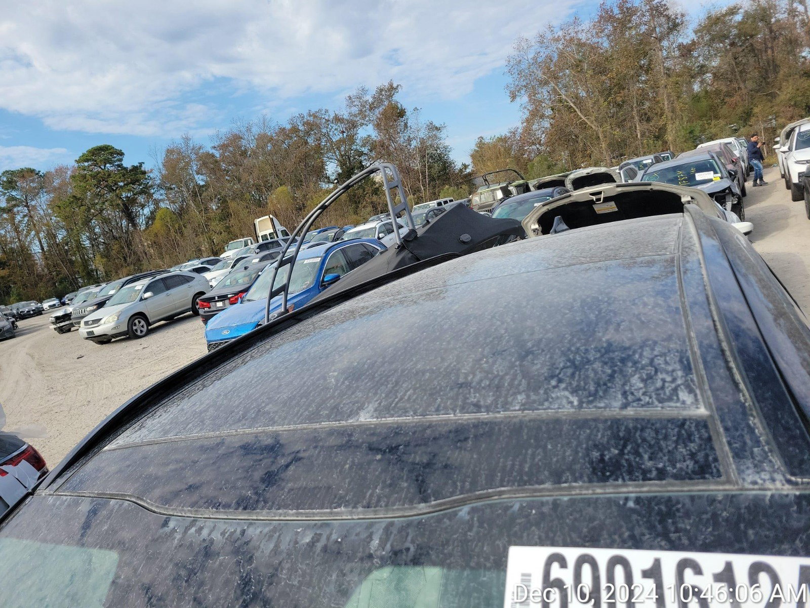 69016124