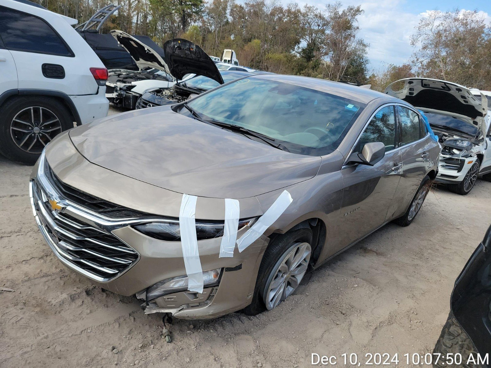 77619234