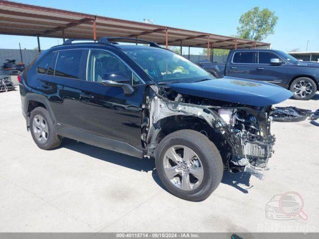 Toyota Rav4 Hybrid Xle 2024