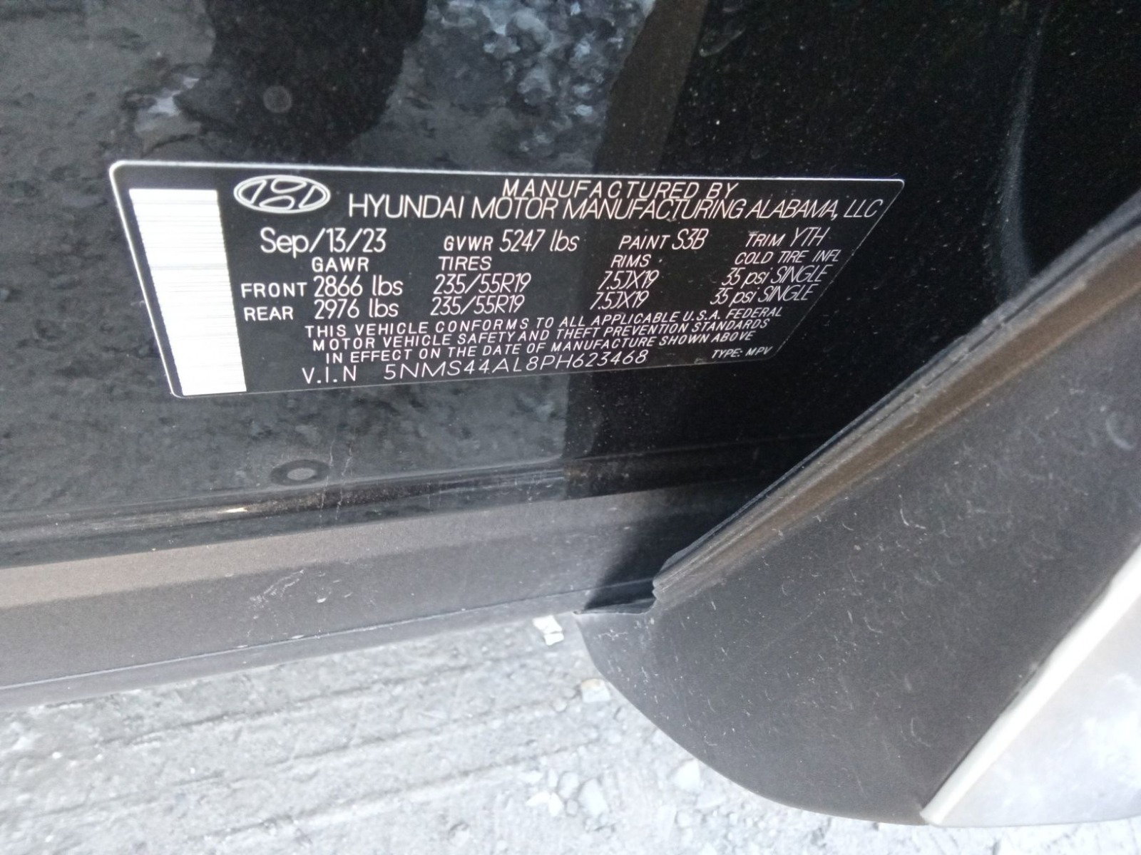 77897934