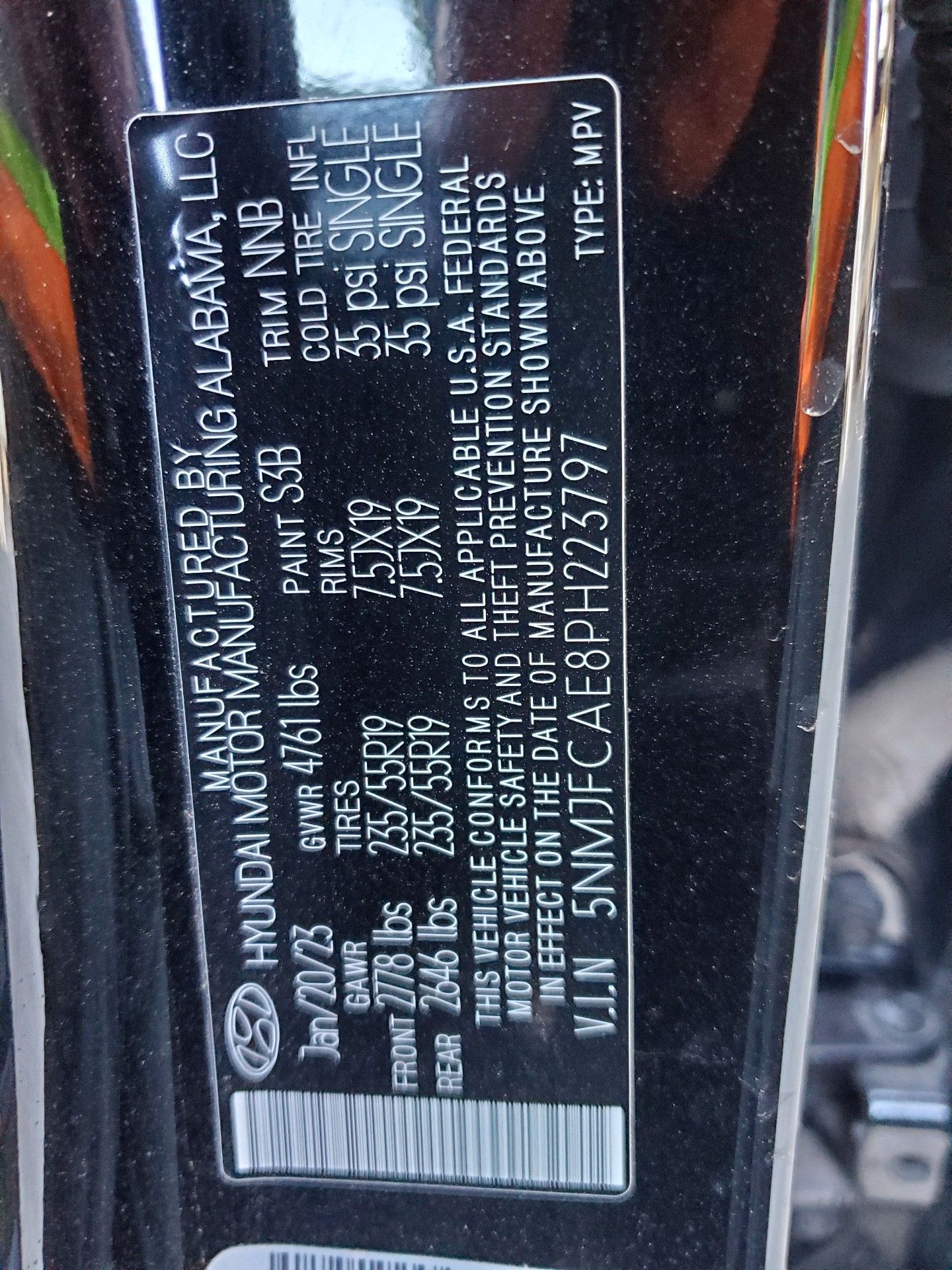 81717774