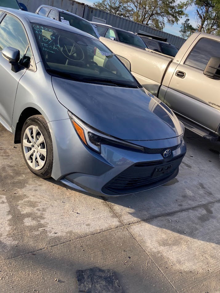 76231614