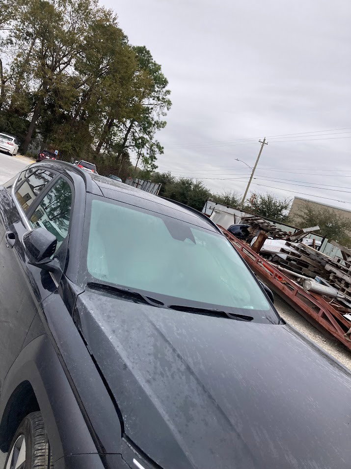 81705934
