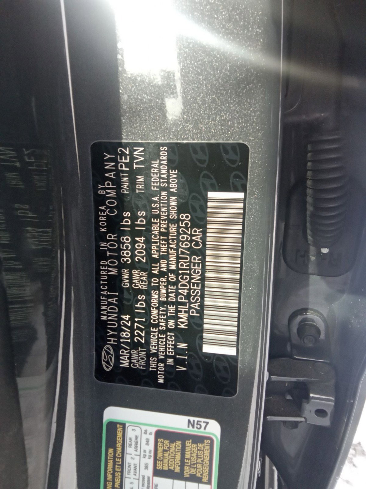 81886694