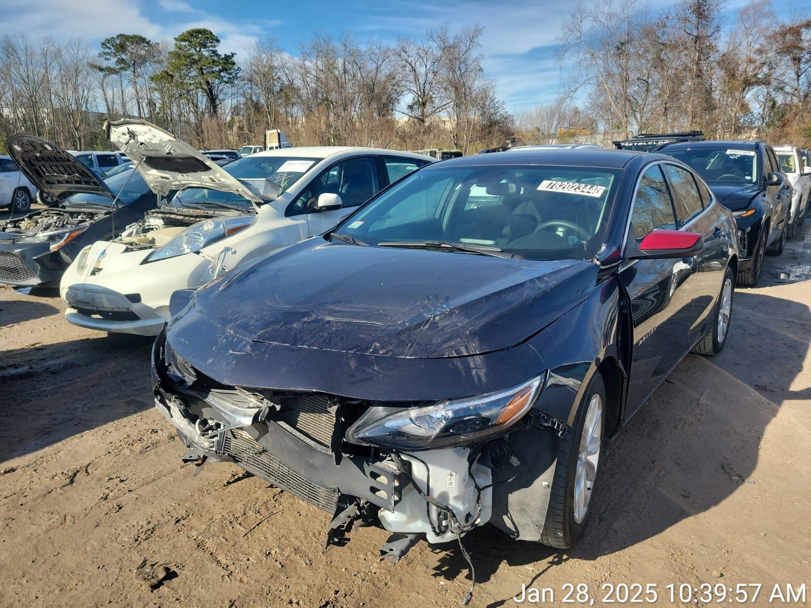 78202344