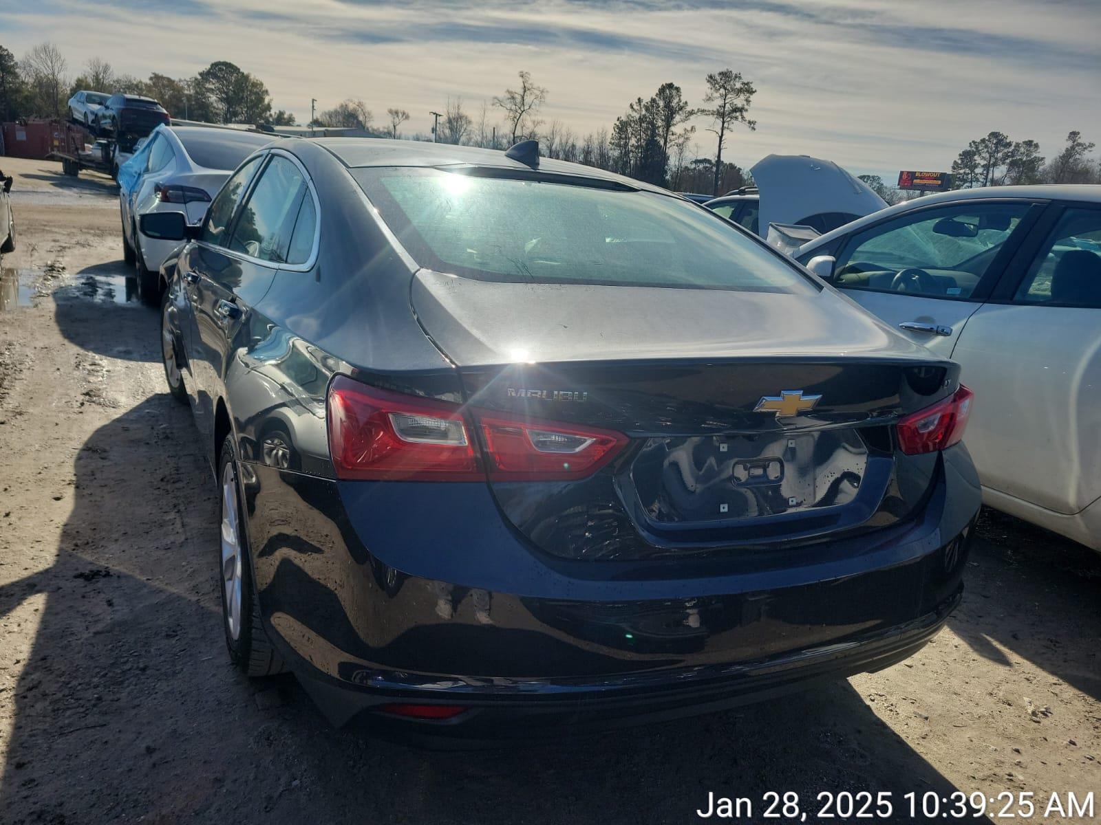 78202344