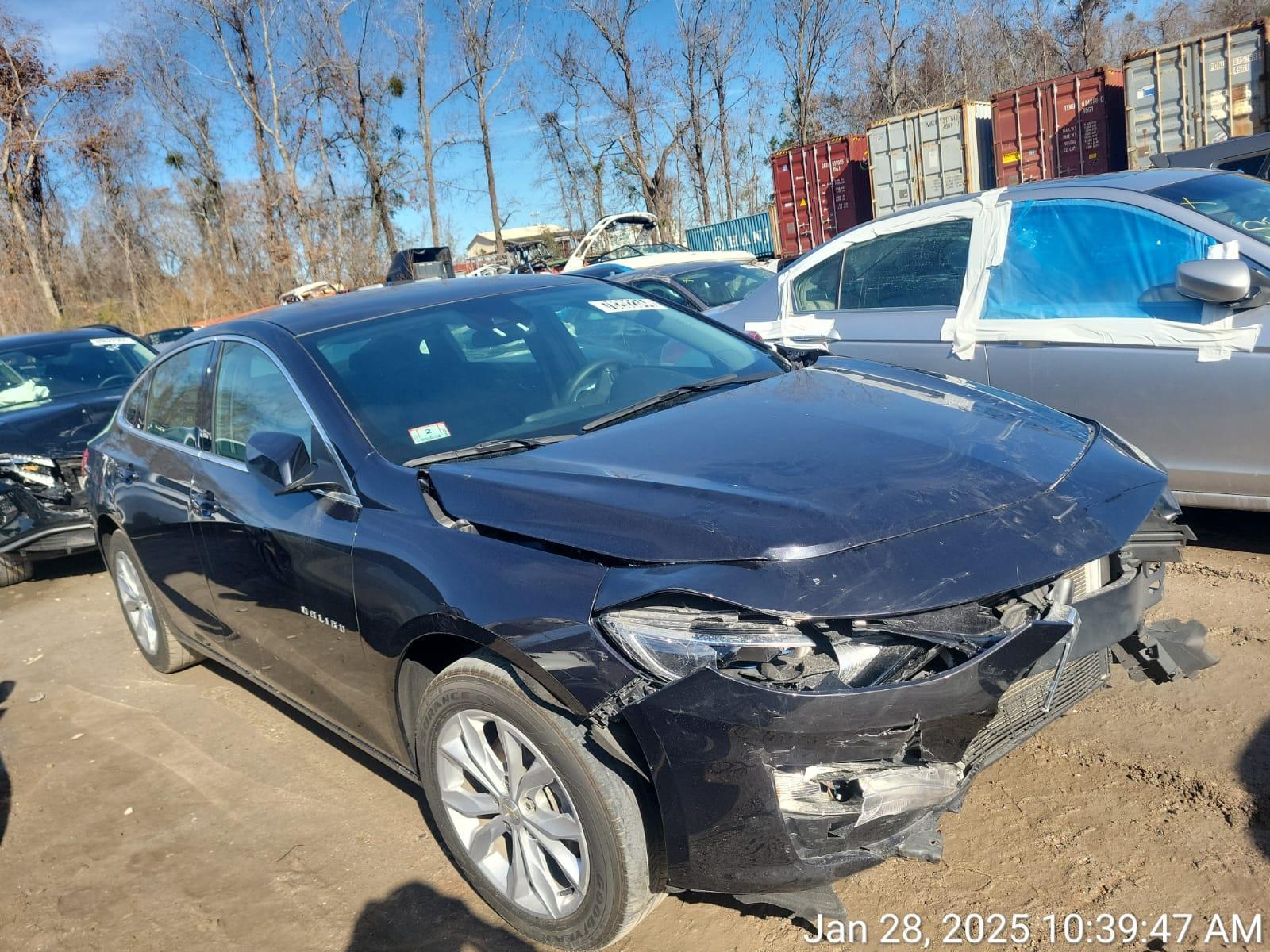 78202344