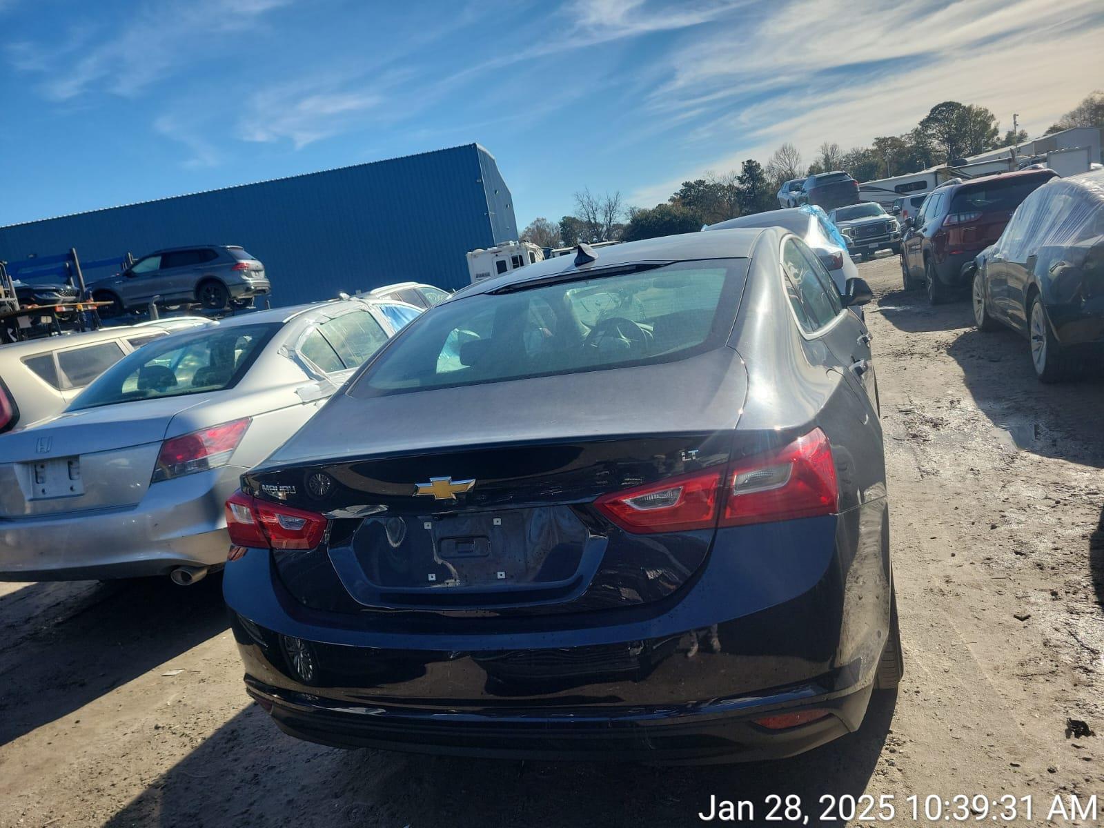 78202344