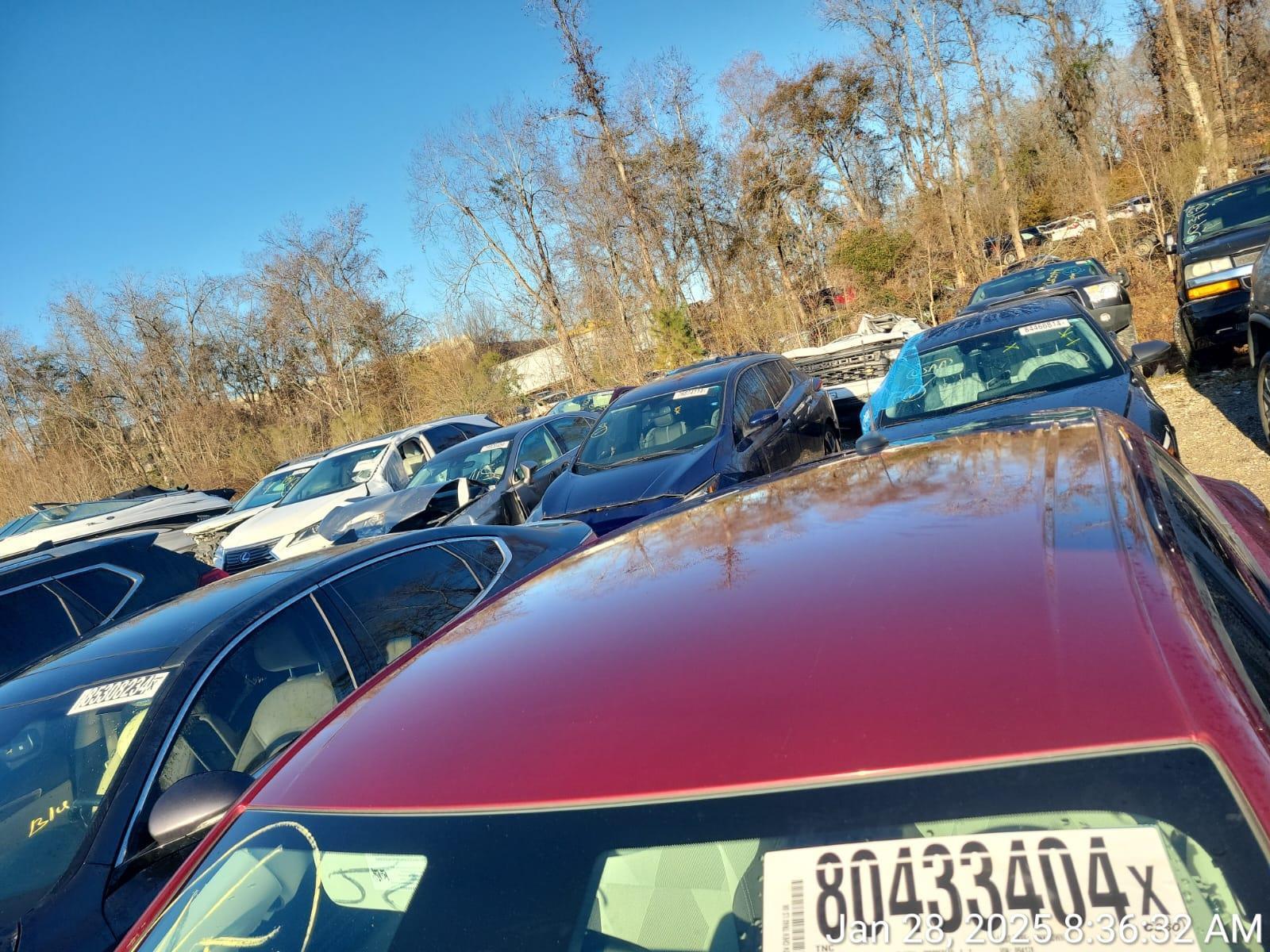 80433404