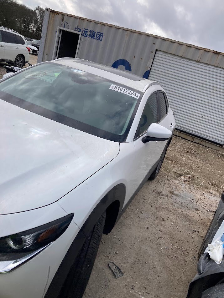 81617324