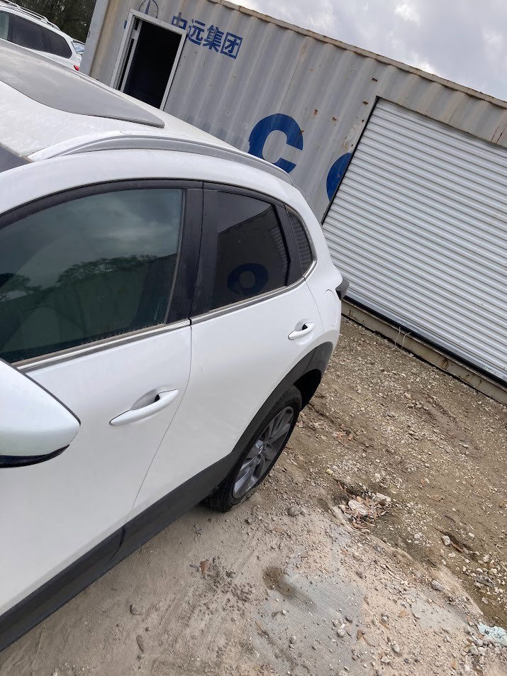 81617324