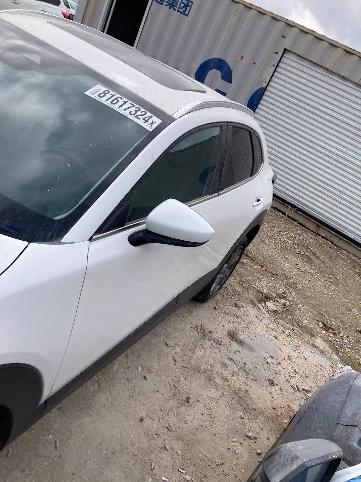 81617324