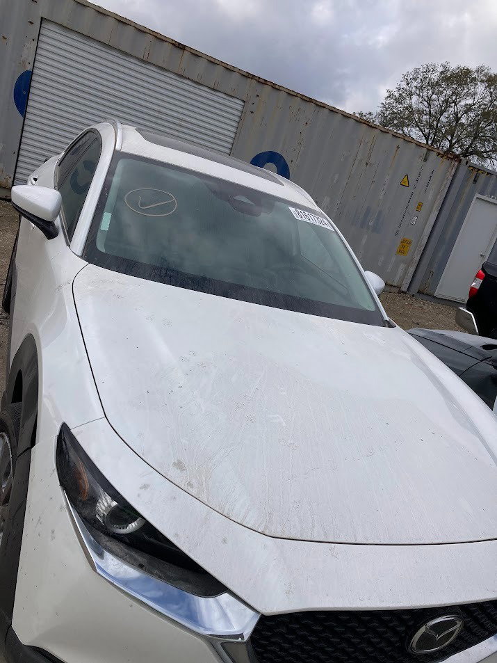 81617324