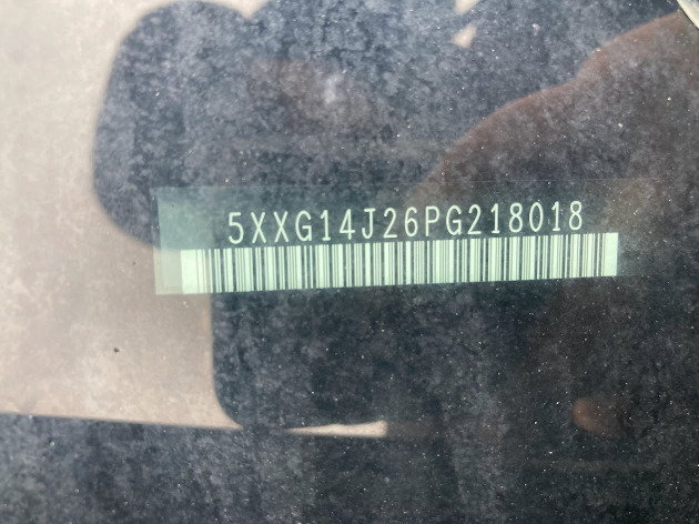 79865514