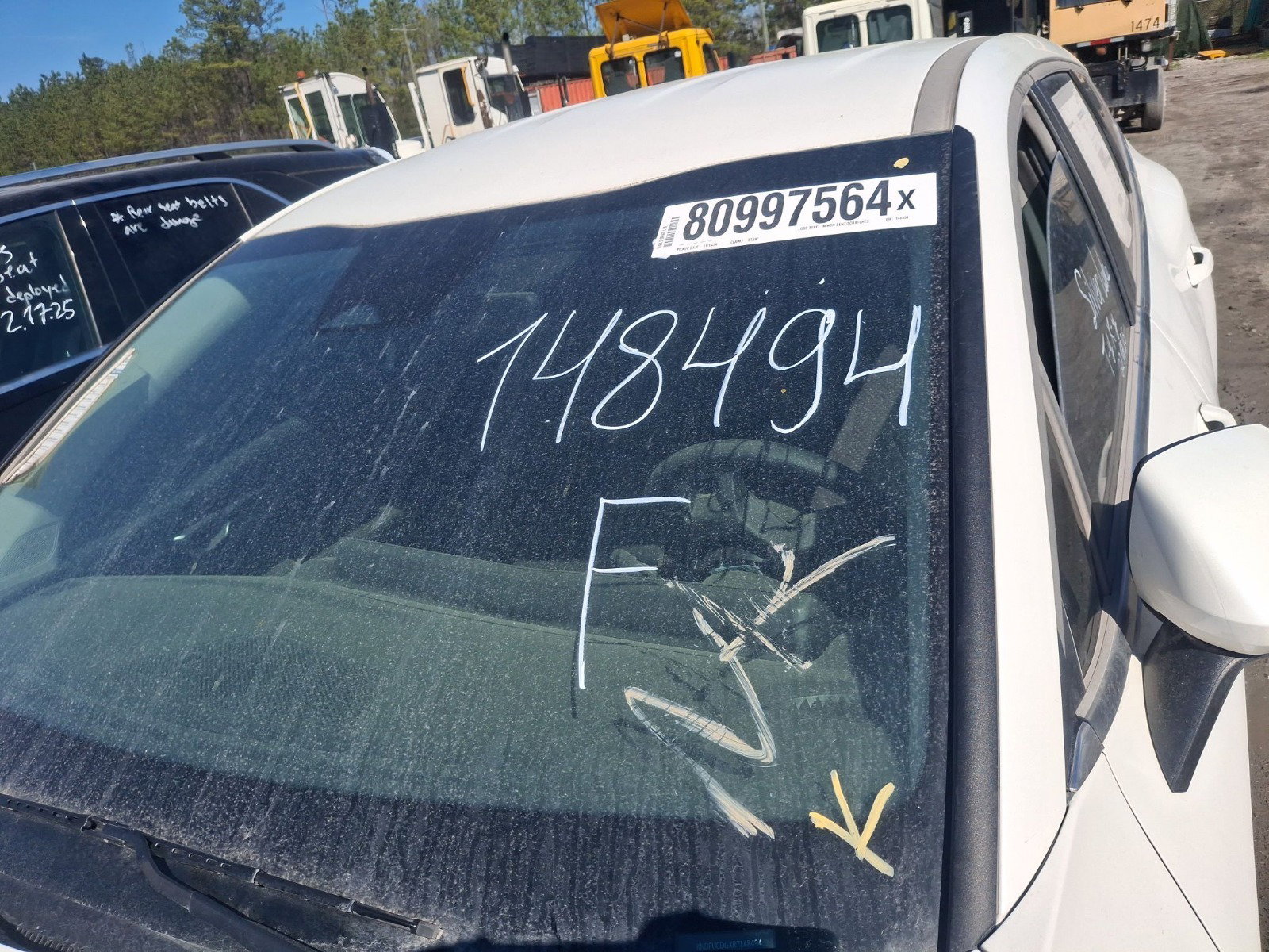 80997564