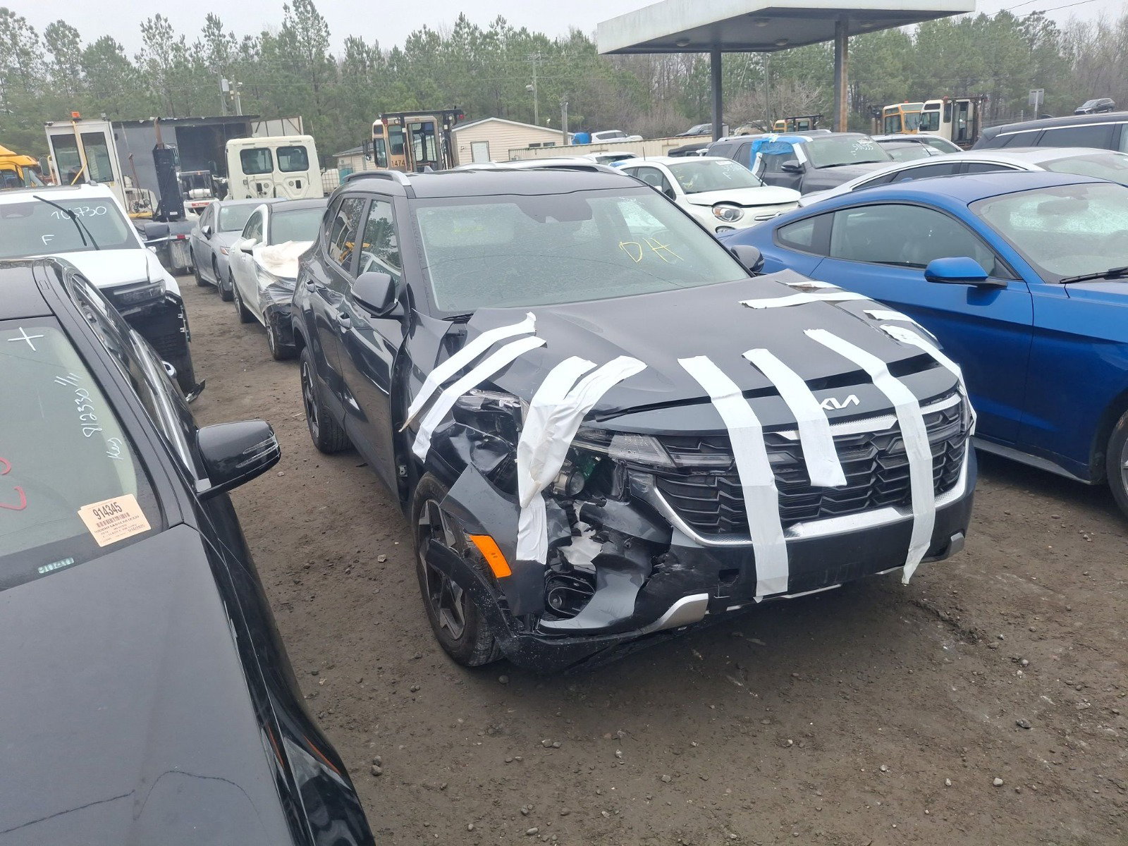 82405514
