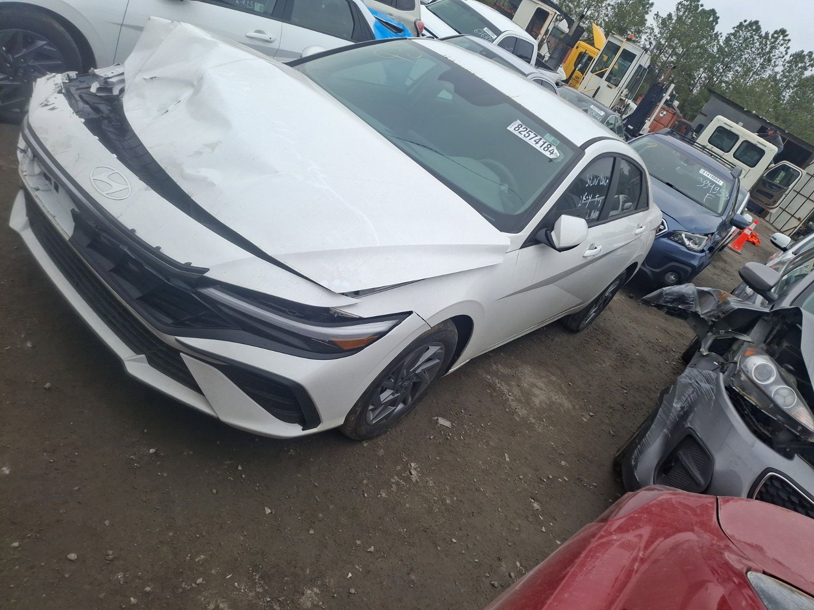 82574184