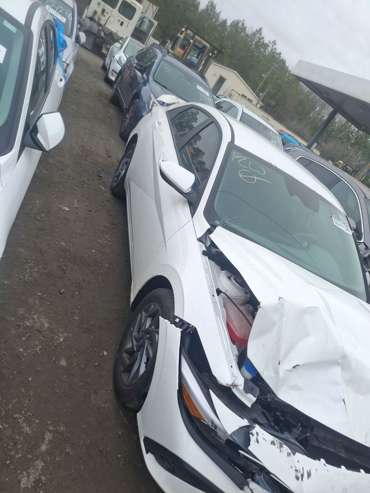 82574184