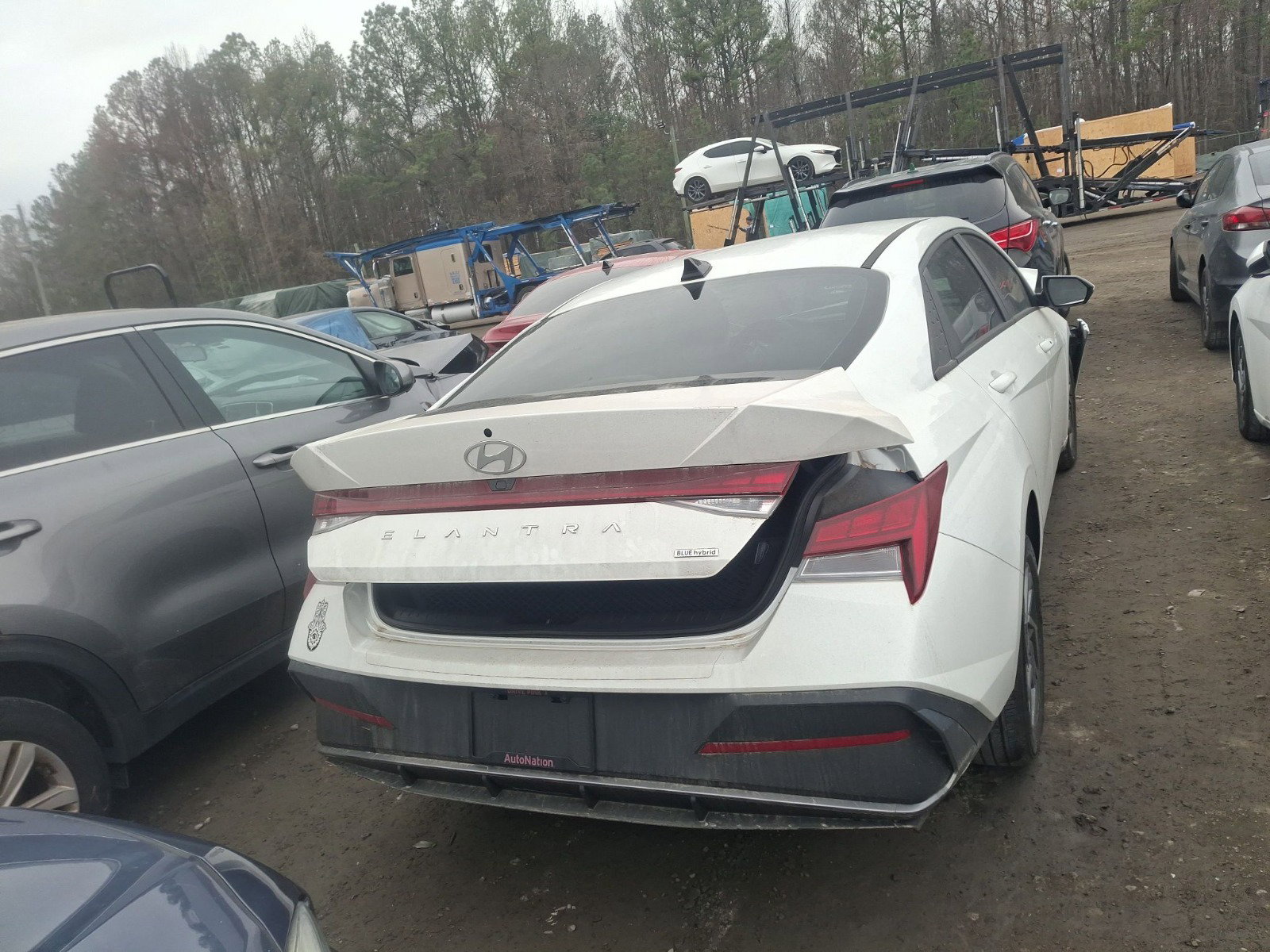 82574184