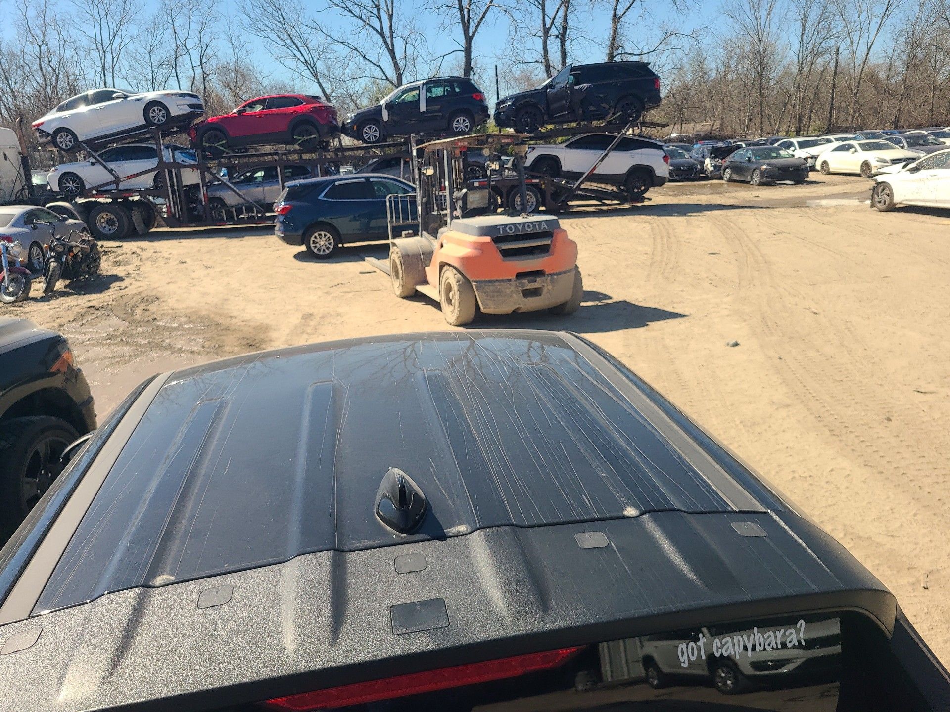 44815465