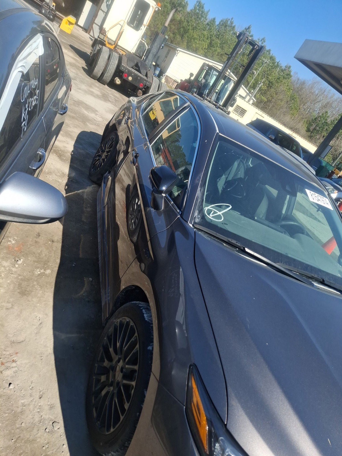 81547974