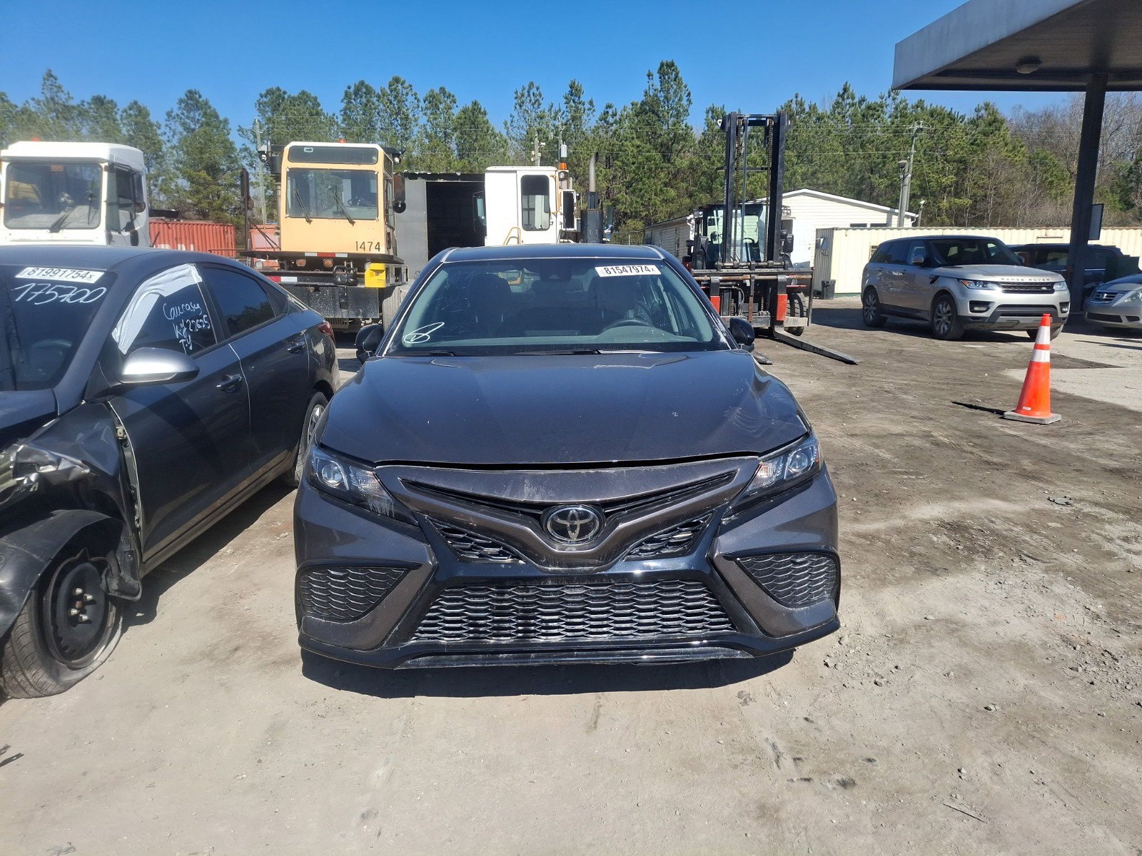 81547974