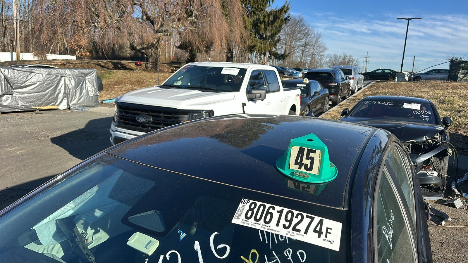80619274