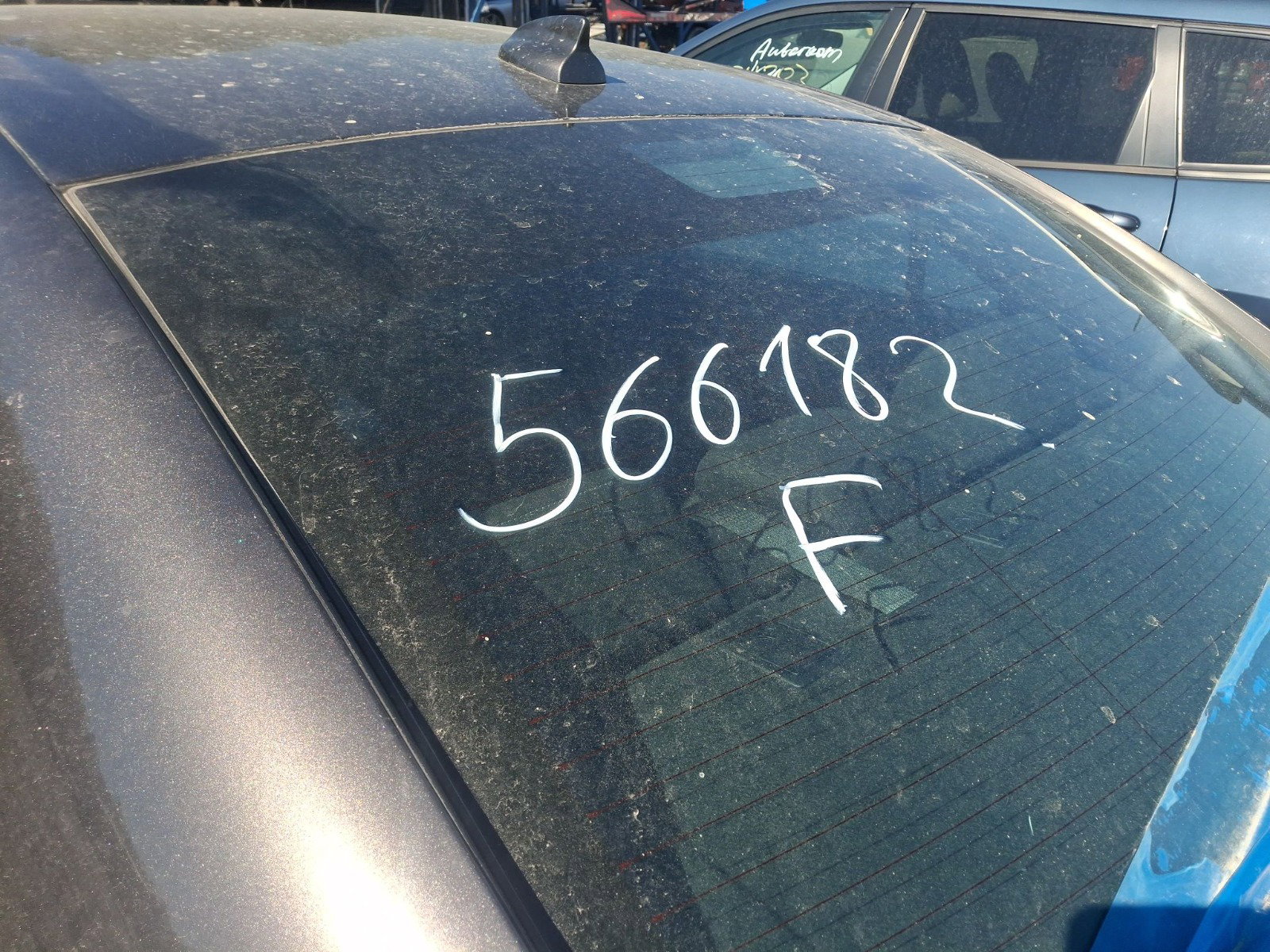 45041865