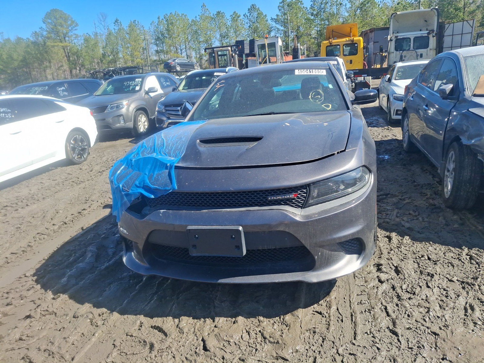 45041865