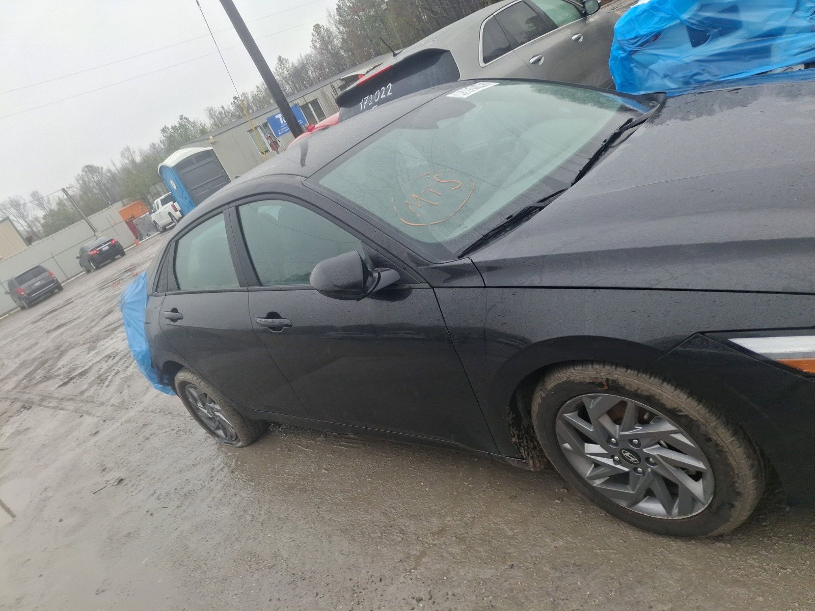 45051745