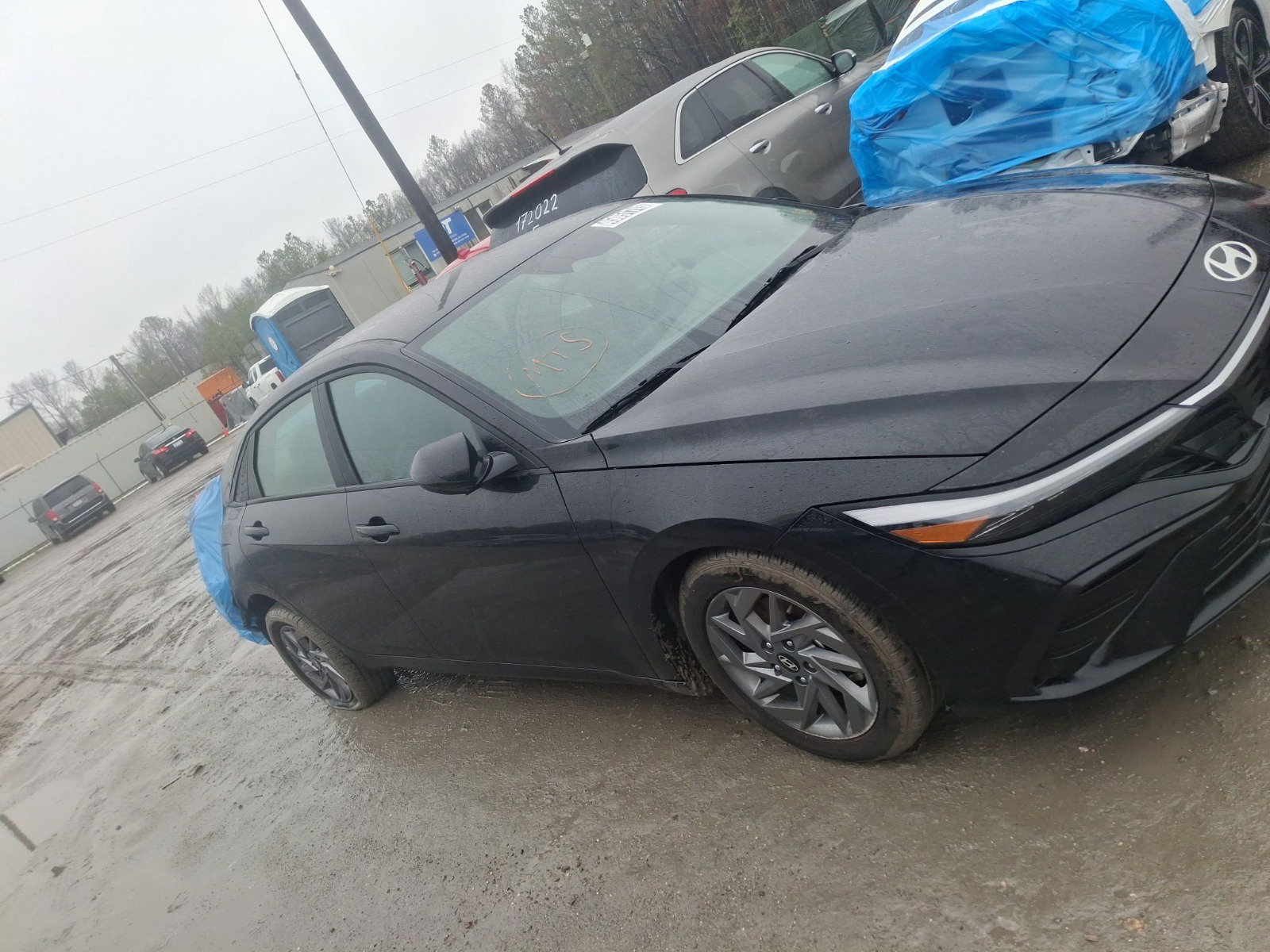 45051745